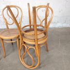 5 Thonet N°20 Stoelen thumbnail 7