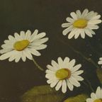 Bloemen Stilleven Schilderij Margrieten Klaproos Gesigneerd 47x38cm thumbnail 2