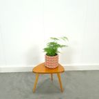 Fineer Plantentafel Nr. 18, Bijzettafel thumbnail 8
