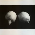 Sabine Kacunko, Out Of Sight I,2000 thumbnail 3