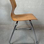 Vintage Pagholz Plywood Stoel – Adam Stegner, 1970’s thumbnail 7