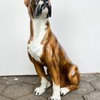 Keramiek Porseleinen Beeld Van Hond Boxer, 1970'S thumbnail 6