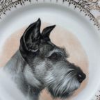 Sierbordje Porcelaine D'art Schnauzer thumbnail 5