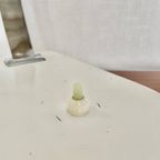 Grote Bauhaus Desk Lamp Kaiser Idell Jaren ‘30 thumbnail 8