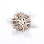 Banci Firenze Florentijnse Wandlamp Zilver Klein, 1970s thumbnail 5