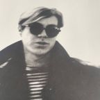 Nat Finkelstein (1933-2009), ‘andy Warhol thumbnail 7