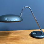 Cisne Desk Lamp From Fase / Lupela, 1970S thumbnail 7