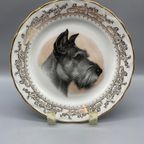 Sierbordje Porcelaine D'art Schnauzer thumbnail 8