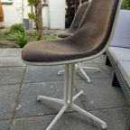 Herman Miller Lafonda Design Original Eames Chairs No Vitra - Tnc3 thumbnail 12