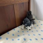 Houten Bed thumbnail 8