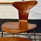 4 Early Dining Chairs By Arne Jacobsen For Fritz Hansen, 1957 thumbnail 6
