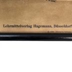 Jung Koch Quentell ‘Grüne Laubheuschreche’ 59890 thumbnail 6