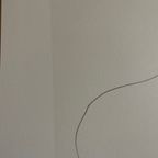 Ellsworth Kelly (1923-2015), Chêne, 1964 thumbnail 4