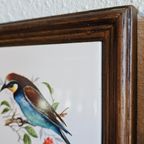 Vintage Tegeltjes Tegeltableau Lijstjes Met Vogels thumbnail 4