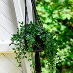 Bazar Bizar | De Macramé Planthanger - Zwart - M thumbnail 6