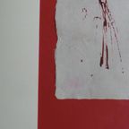 Picador thumbnail 6