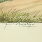 Maurice Brailly Franse Spaniël Hond Vogels Vintage Grafiek 1972 thumbnail 7