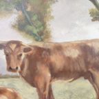 G. Van Belleghem - Xl Schilderij - Koeien In De Weide thumbnail 7