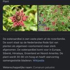 Twee Onderzetters Met Planten Afbeelding thumbnail 7