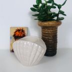 Schelp Bloempot thumbnail 6