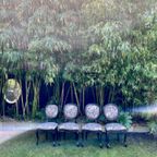 Eettafel Stoelen ( 4 Stuks ) Queen Ann Stijl thumbnail 4