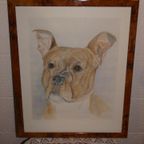 Aquarel J. Van Roey "Hond". thumbnail 6