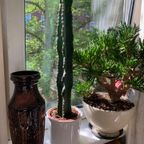 Austrian Mid-century Large Floor Vase thumbnail 9