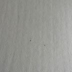 Vlado Fieri, Sans Titre, 2011, Belgium thumbnail 6