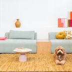 4x6 sofa – X6 Modulaire Bank In Lichtgroen Uni (kleur #24) thumbnail 3