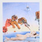 Offset Litho Naar Salvator Dali Surrealisme 1503/2000 Bfk Rives thumbnail 9