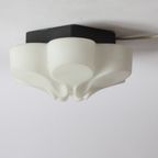 Abstract Glass Flower Ceiling Or Wall Lamp By Bega, Germany 1960S thumbnail 3