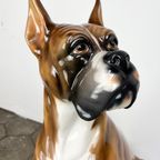 Keramiek Porseleinen Beeld Van Hond Boxer, 1970'S thumbnail 10