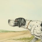 Maurice Brailly Franse Spaniël Hond Vogels Vintage Grafiek 1972 thumbnail 5