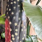 Beeld Xxl Polkadot Kat Vintage thumbnail 12