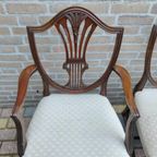 Antique George Hepplewhite Chairs Van 6 Stoelen Set thumbnail 6