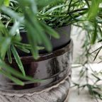 Bloempot, Vintage thumbnail 4