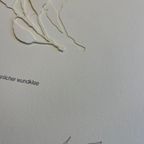 Jessica Toliver, Gewohnlicher Wundklee, Signed Paper-cutting Is One Of Only 50 Limited-edition thumbnail 10
