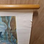 Antieke Schoolplaat Schoolkaart Noordzee Wolters thumbnail 8
