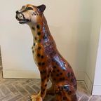 Sisi 🐆 Cheetah Beeld thumbnail 6