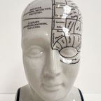 Keramieken 30 Cm Hoge Phrenology Hoofd, 1990’s thumbnail 8