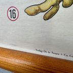 Vintage Linnen Schoolkaart ‘de Grove Den’ thumbnail 10