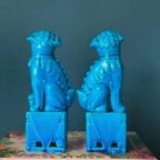 Set Chinese Tempelhondjes In Azuurblauw thumbnail 2
