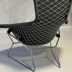 Bird Chair Harry Bertoia Fauteuil Knoll Vintage Design Stoel thumbnail 4