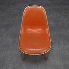 Eames Dsw Chair Fehlbaum For Herman Miller Miller, 1970S thumbnail 10