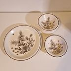 Pinewood By W.H. Grindley Co Ltd Schaaltjes Set thumbnail 8