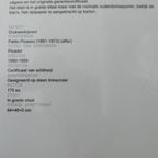 Picador thumbnail 21