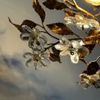 2 Beschikbaar ! 2 Italiaanse Bloemen Plafonieres Echte Vintage Toppers ! Kristal thumbnail 2