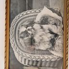 Vintage Lijstje Met Foto Zwart Wit Van Een Hond thumbnail 5