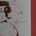 Picador thumbnail 3