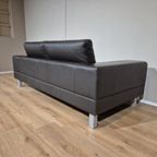 Leolux Antipode Dock - 2,5 Zits Bank - Bruin - Leder -design thumbnail 15